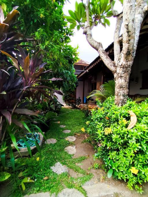 Niki Mawon Homestay Kejayan Exterior photo
